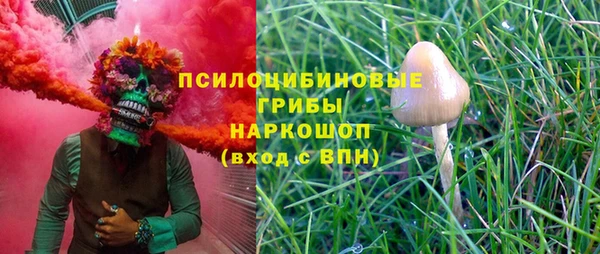 ешки Алзамай