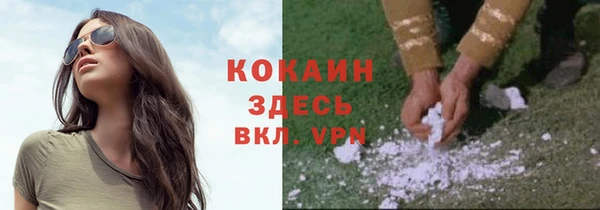 не бодяженный Алексин