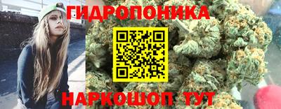 молекула духа Долгопрудный