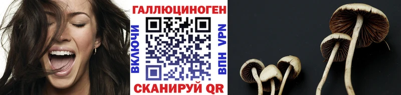 Галлюциногенные грибы ЛСД  Карасук 