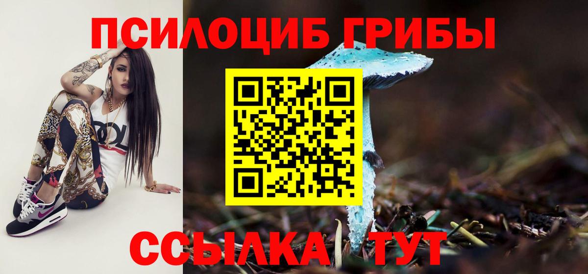 Галлюциногенные грибы мицелий Карасук