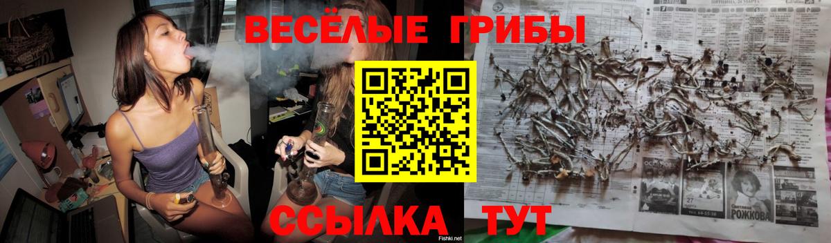 Карасук  Псилоцибиновые грибы прущие грибы  Вход с VPN 